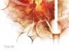 Abstract Wallpapers 77